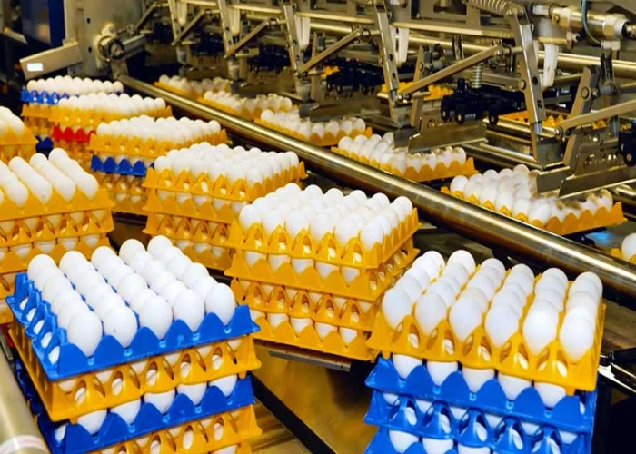 EGG & MILK DISTRIBUTION BUSINESS FOR SALE IN AJMAN!!! BUSINESS FOR SALE!!!