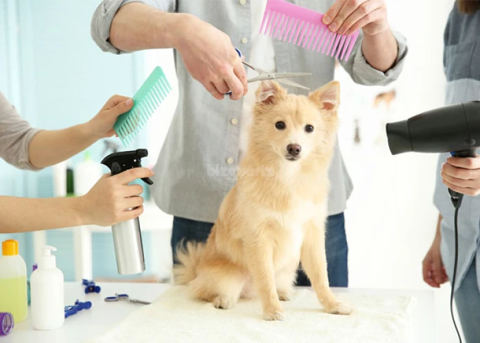 LUXURIOUS MOBILE PET GROOMING BUSINESS FOR SALE IN JLT - DUBAI!! BUSINESS FOR SALE!!!