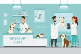 EXCLUSIVE VETERINARY HOSPITAL FOR SALE IN AL QUSAIS - DUBAI!!! BUSINESS FOR SALE!!!!