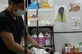 Pet Shop & Grooming in prime location for sale