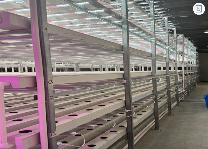AGRITECH-HYDROPONICS FARM- READY TO OPERATE -  BUSINESS FOR SALE IN DIP-DUBAI
