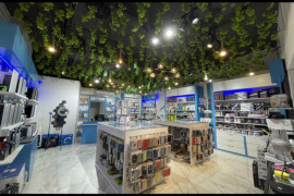 Electronic store - Mobiles and laptops