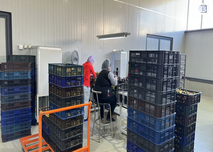 Profitable company of plastic caps production in ARMENIA