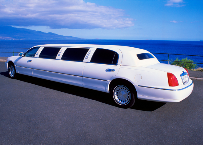 - Business Opportunity- Limousine Company for  SALE in Dubai
