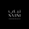NABNI DEVELOPMENTS Logo
